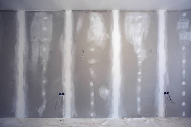Best Asbestos and Lead Testing During Mold Inspection  in East Hills, NY